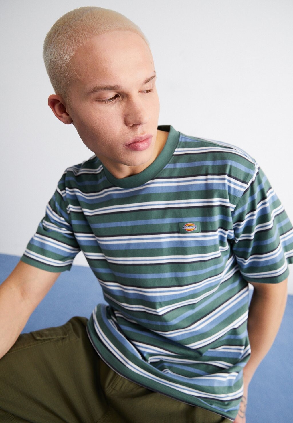

Футболка с принтом Glade Spring Tee Dickies, цвет light blue