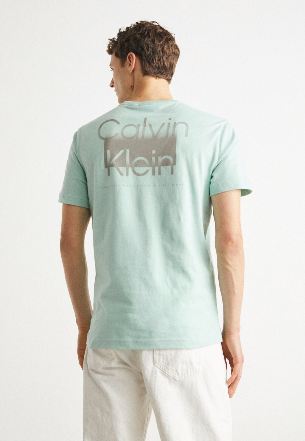 

Футболка с принтом Enlarged Back Logo Calvin Klein, светло-зеленый