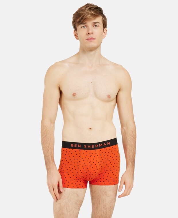 

Шорты-боксеры, комплект из 3 шт. Ben Sherman, черный