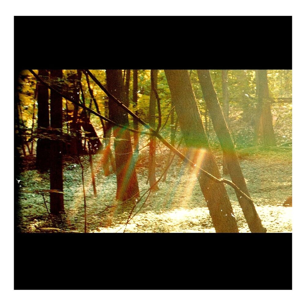 

Виниловая пластинка Camp (2 Discs) | Childish Gambino