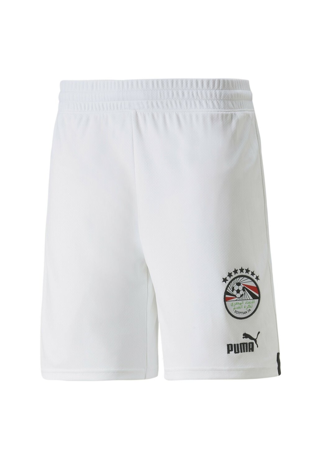 

Спортивные шорты Puma
