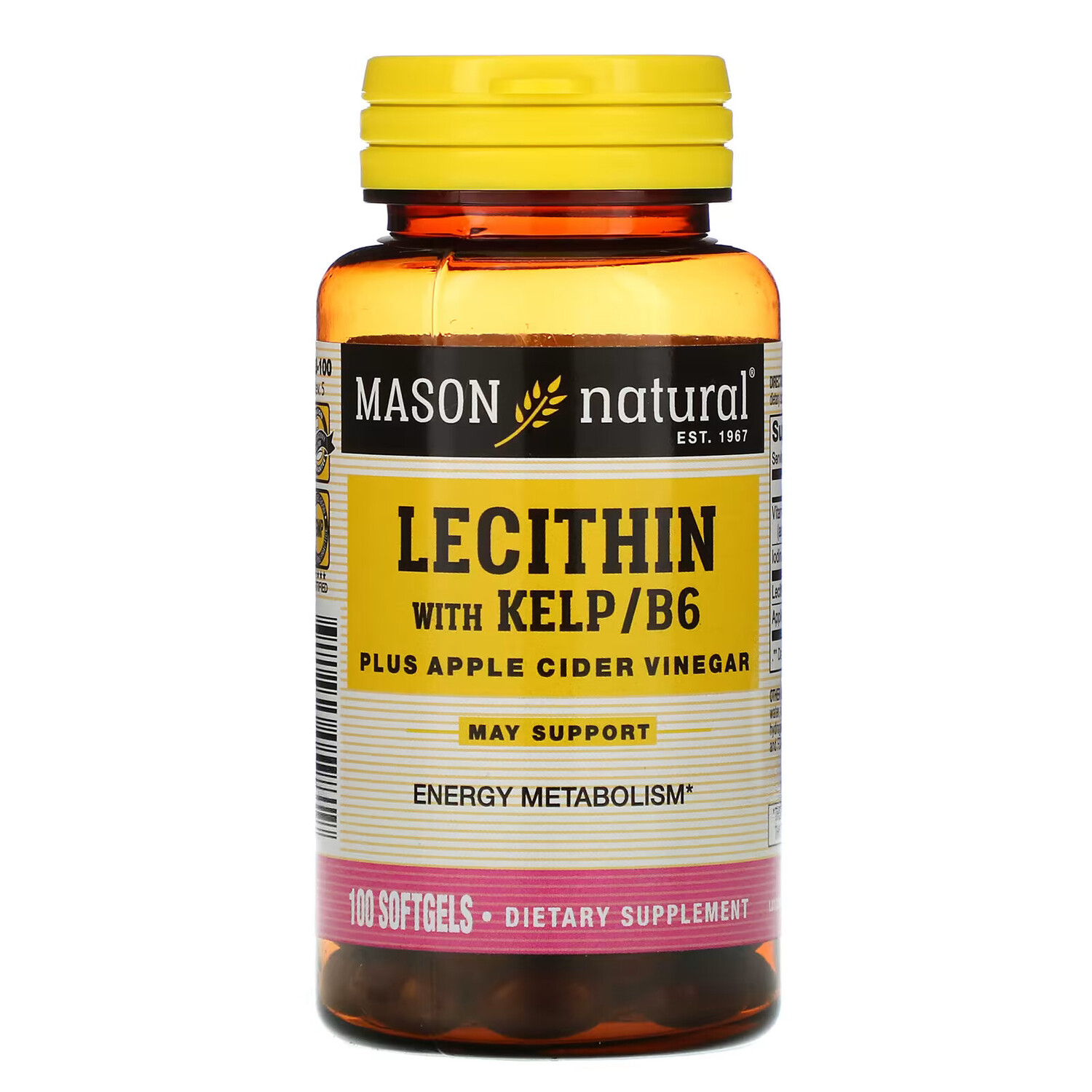 

Mason Natural, лецитин с бурыми водорослями/витамином B6 и яблочным уксусом, 100 мягких таблеток