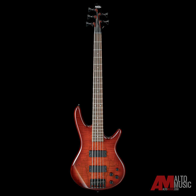 

5-струнная бас-гитара Ibanez GSR205SMCNB GIO серии Charcoal Brown Burst