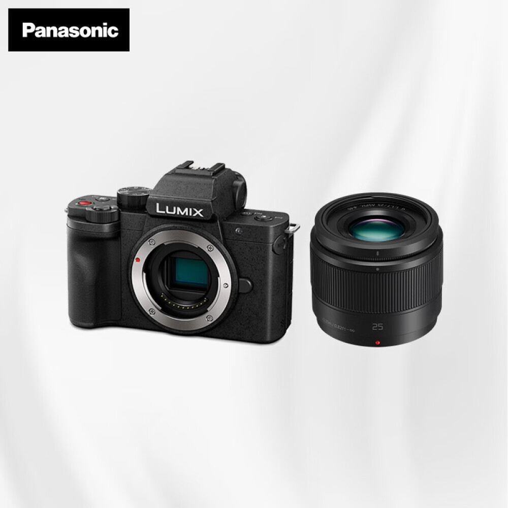 

Фотоаппарат Panasonic G100 (25mm)