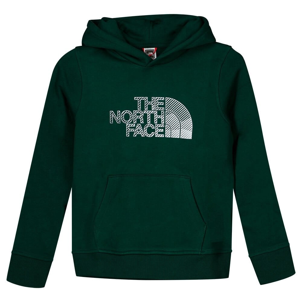 

Худи The North Face Biner Graphic, зеленый