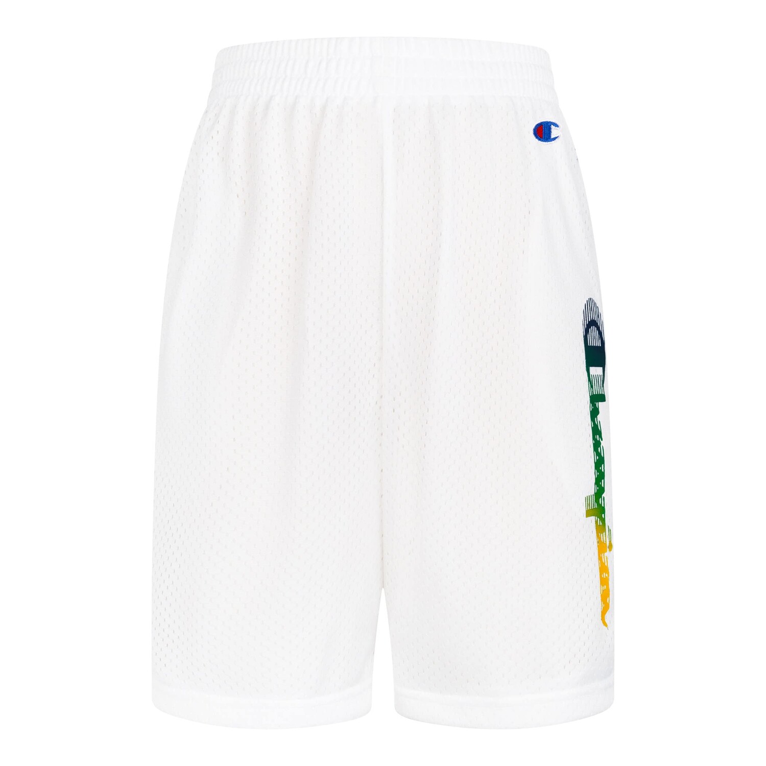 

Шорты Champion Kids, Quick Script Mesh Shorts
