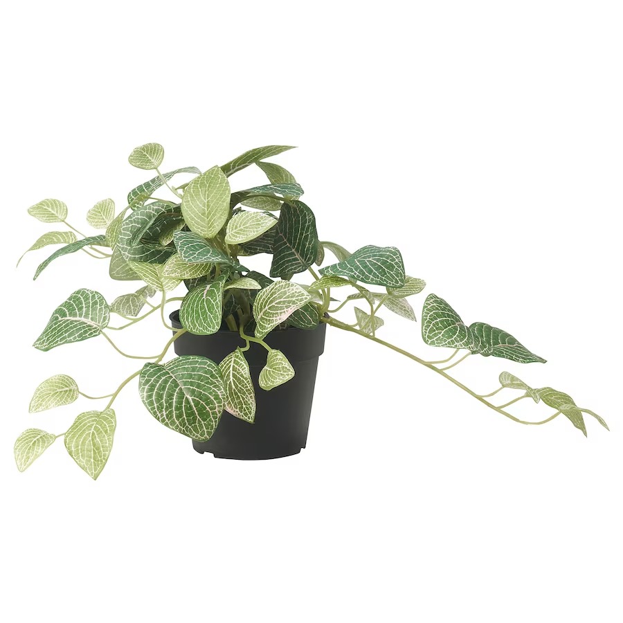 цена Искусственное растение Ikea Fejka Indoor Outdoor Lace Leaf Hanging, 9 см