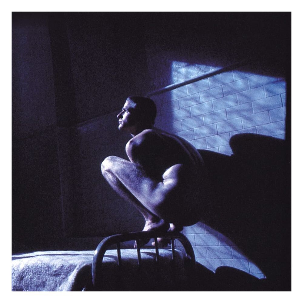 

Виниловая пластинка Birdy (Music From The Film Birdy) | Peter Gabriel