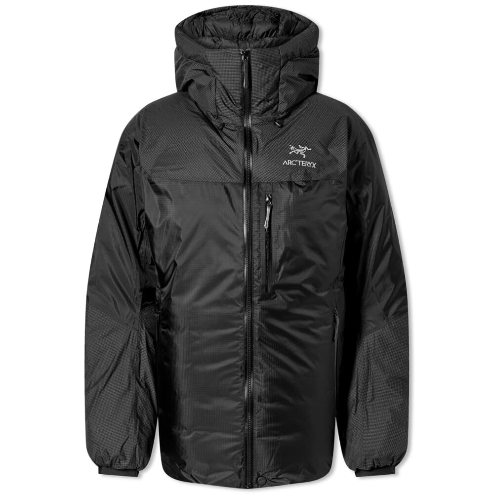 

куртка rc'teryx Alpha Parka Arcteryx, Серый