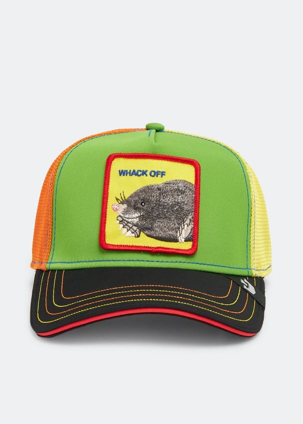 

Кепка GOORIN BROS. Holey Moley trucker cap, разноцветный