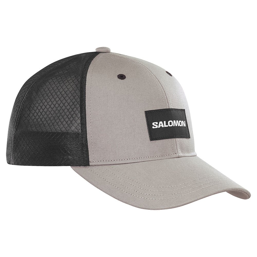 

Бейсболка Salomon Trucker Curved, серый