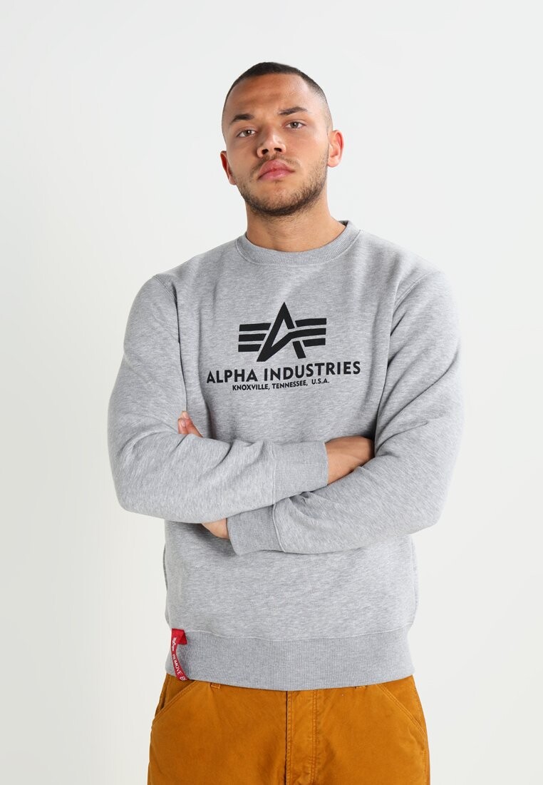 

Толстовка Alpha Industries, Серый