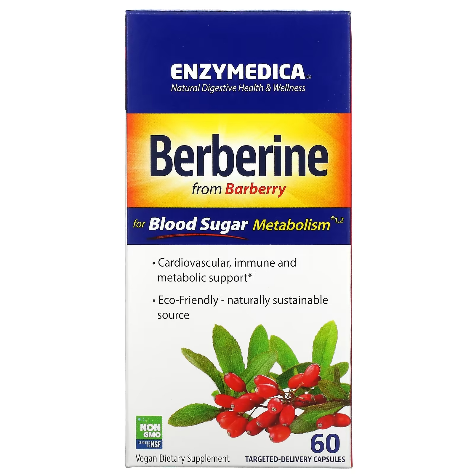 Берберин цена в аптеке. Enzymedica Berberine 60 капс.. Берберин 500. Берберин 500 мг . БАД. Барбариса таблетки препараты.