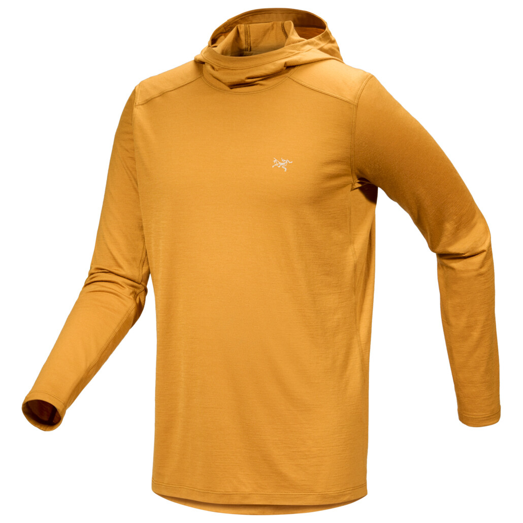 

Рубашка из мериноса Arc'Teryx Ionia Hoody, цвет Yukon