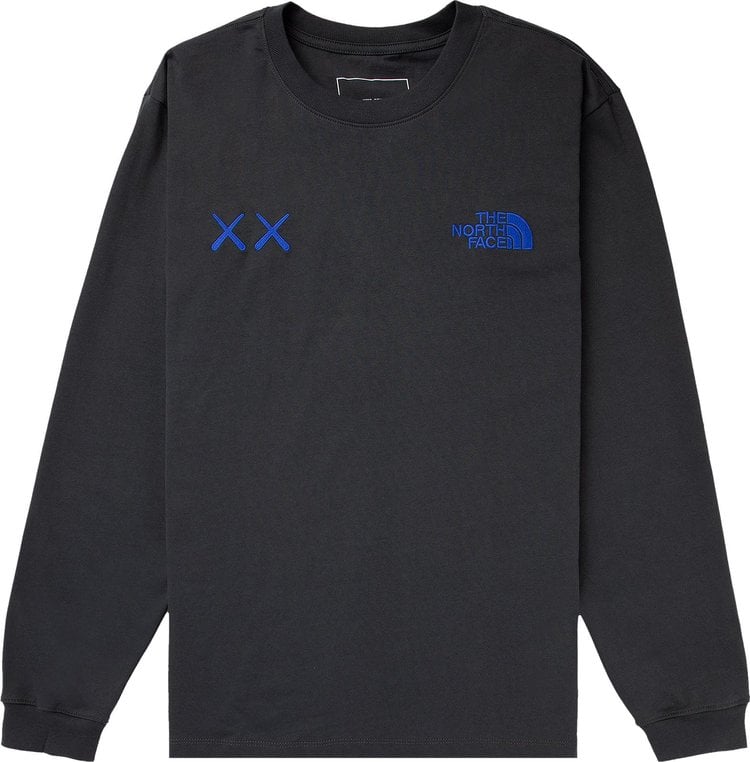 Лонгслив The North Face x KAWS Long-Sleeve Tee 'Asphalt Grey', серый - фото