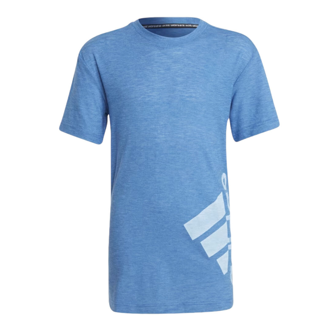 

Футболка Adidas Badge Of Sport Summer, голубой