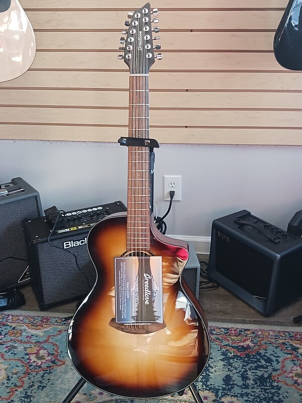 

Акустическая гитара Breedlove Discovery