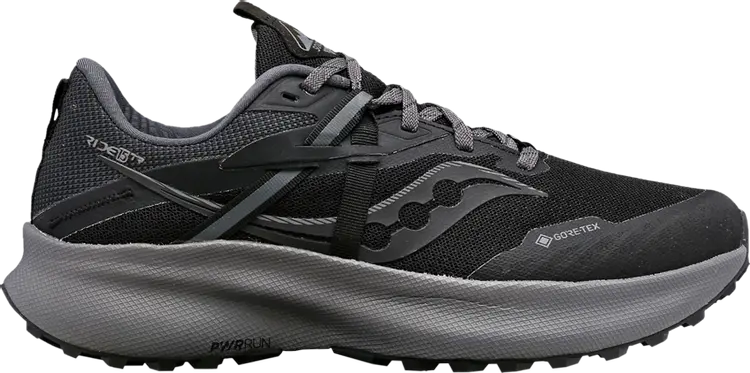 

Кроссовки Saucony Wmns Ride 15 TR GORE-TEX Black Charcoal, черный