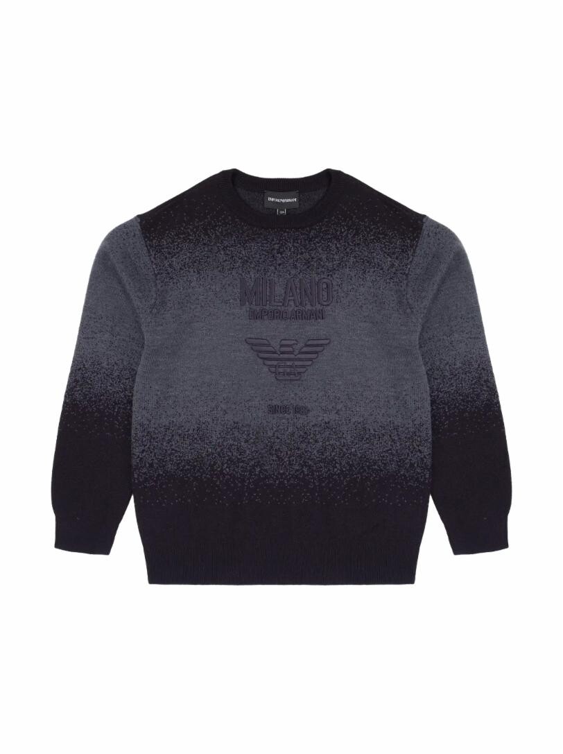 

Свитшот с логотипом EMPORIO ARMANI