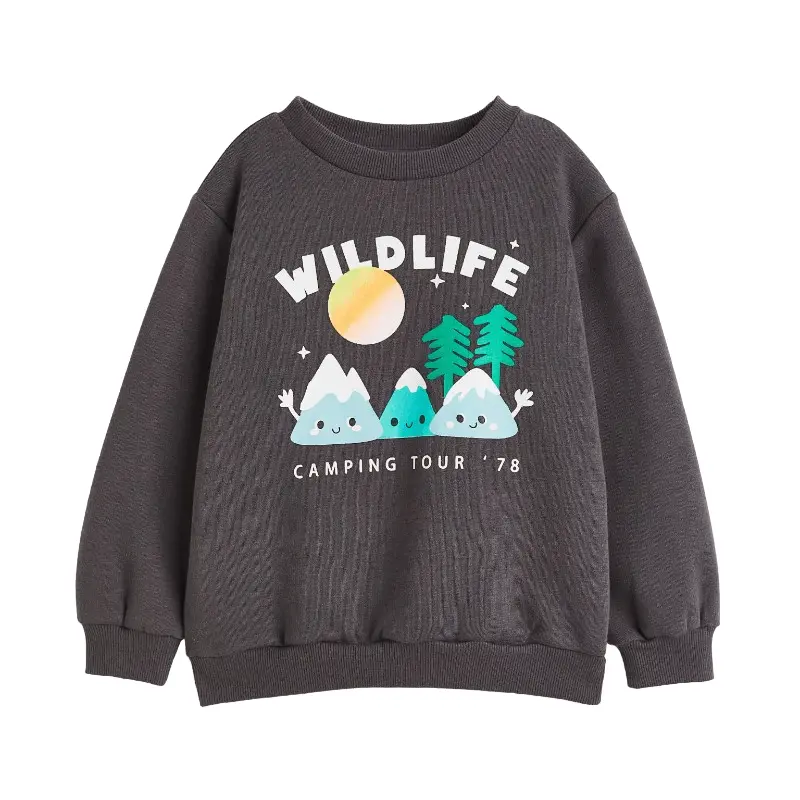 

Толстовка H&M Mountains, темно-серый