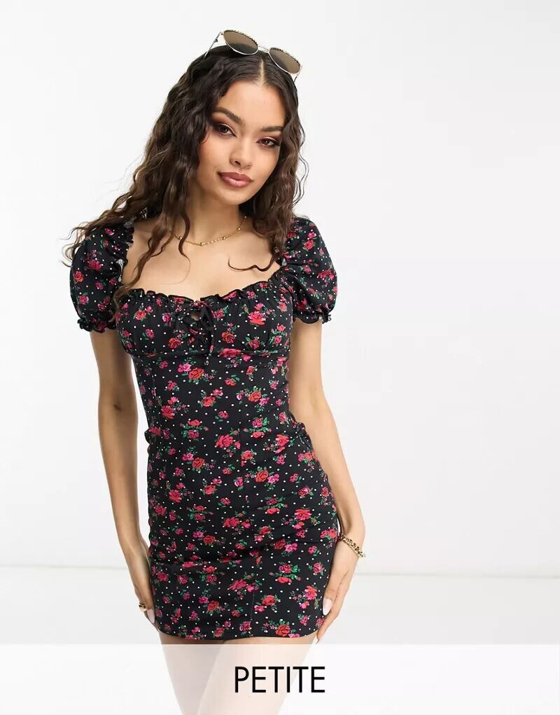 

Красочное кружевное облегающее платье Miss Selfridge Petite