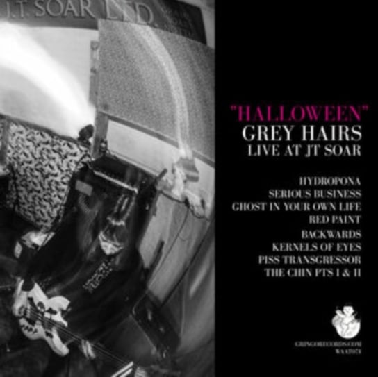 Виниловая пластинка Grey Hairs - Halloween (Live at JT Soar)