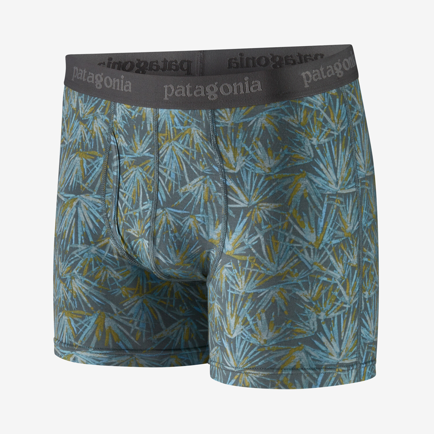 

Мужские трусы-боксеры Essential Patagonia, зеленый