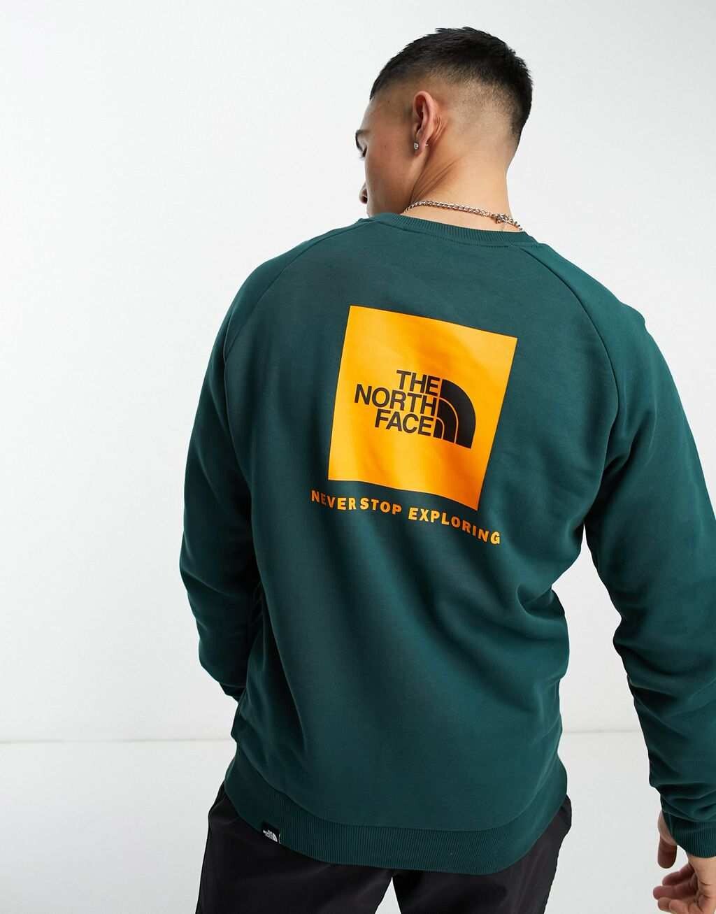 

Зеленый свитшот The North Face Raglan Redbox