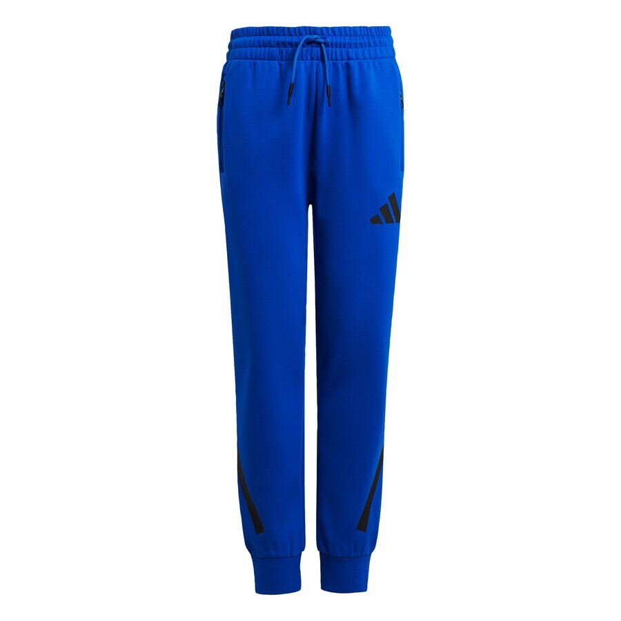 

Брюки ADIDAS SPORTSWEAR Regular Workout Pants, синий