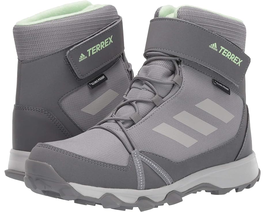 Ботинки Adidas Terrex Snow CF CP CW, цвет Grey Three/Grey Two/Glow Green