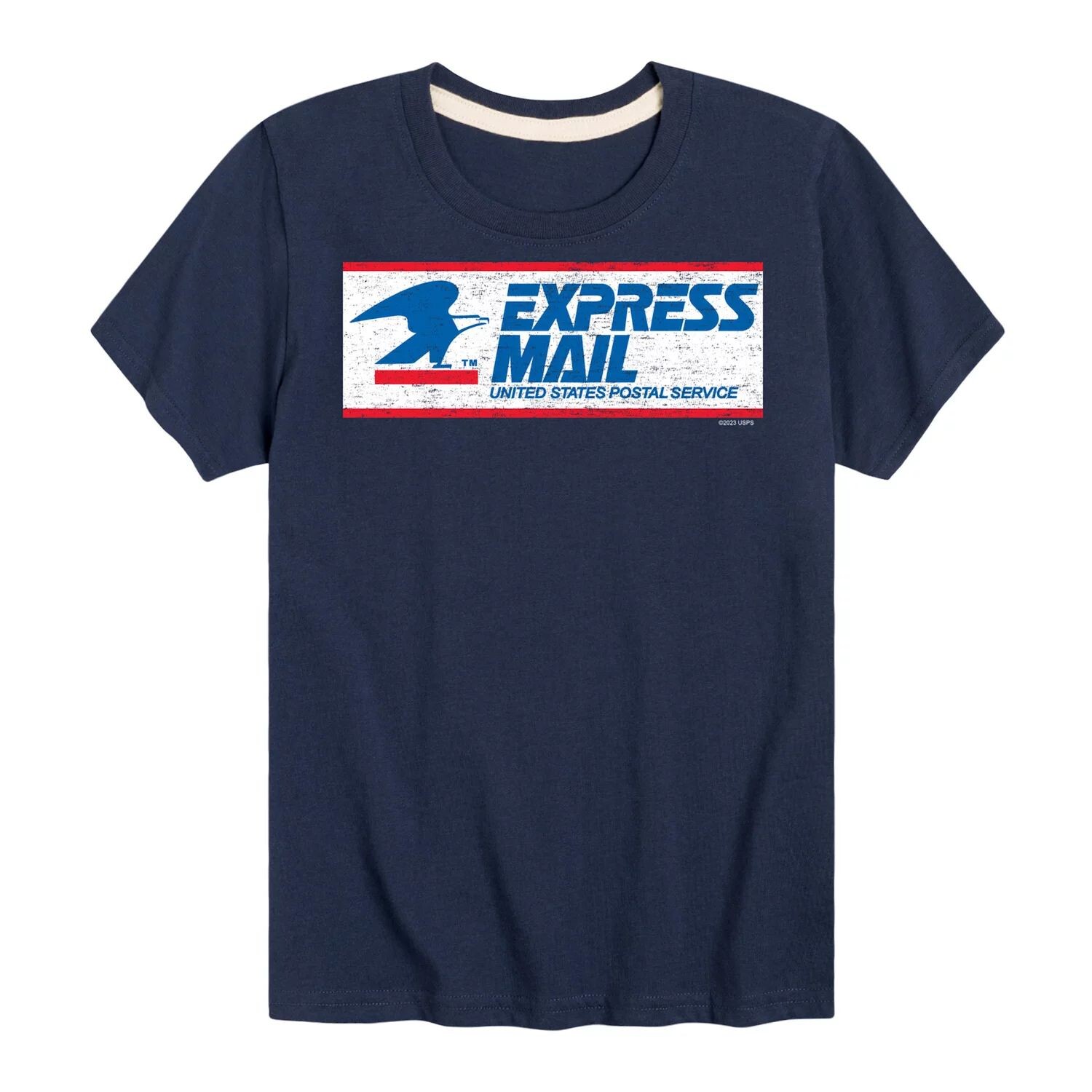 

Футболка с рисунком USPS Express Mail для мальчиков 8–20 лет Licensed Character, синий