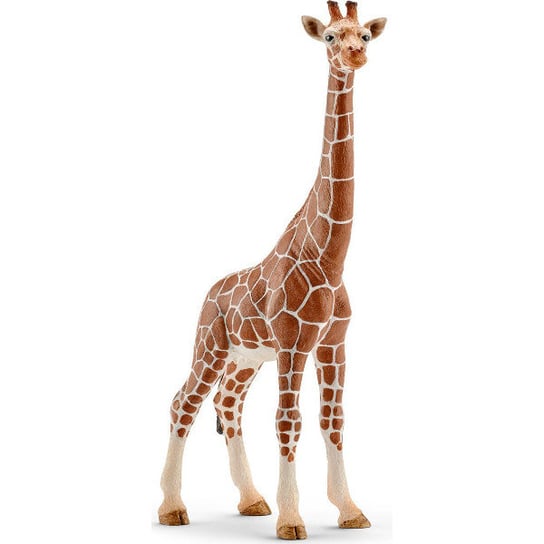 Schleich, статуэтка Жираф-самка фигурка schleich лабрадор самка 13834 5 см