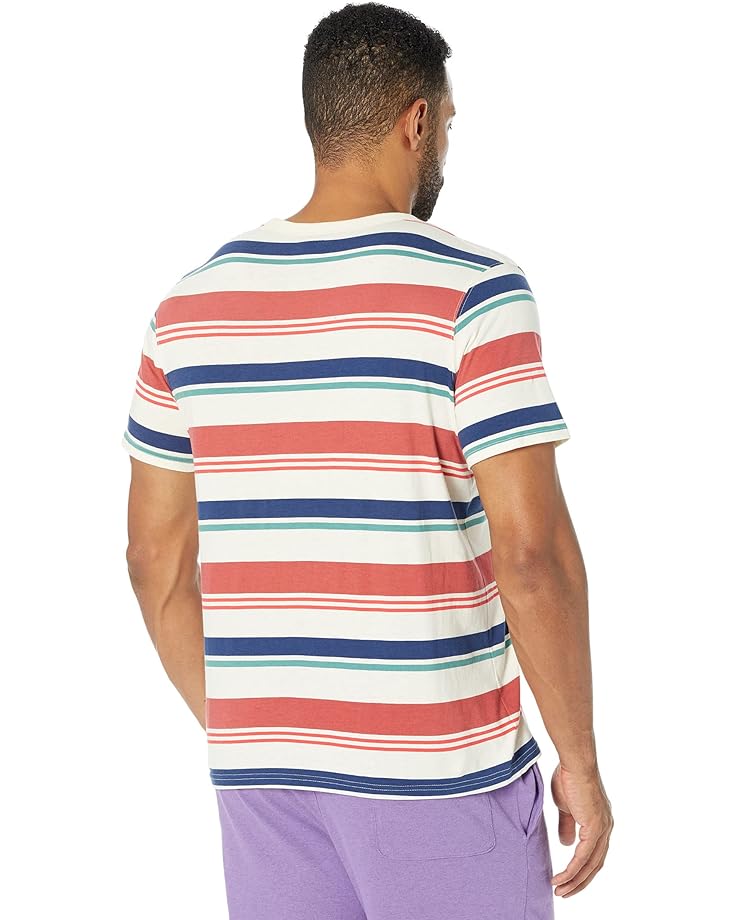 Футболка Champion Classic All Over Print T-Shirt, цвет Light Fresh Stripe Natural