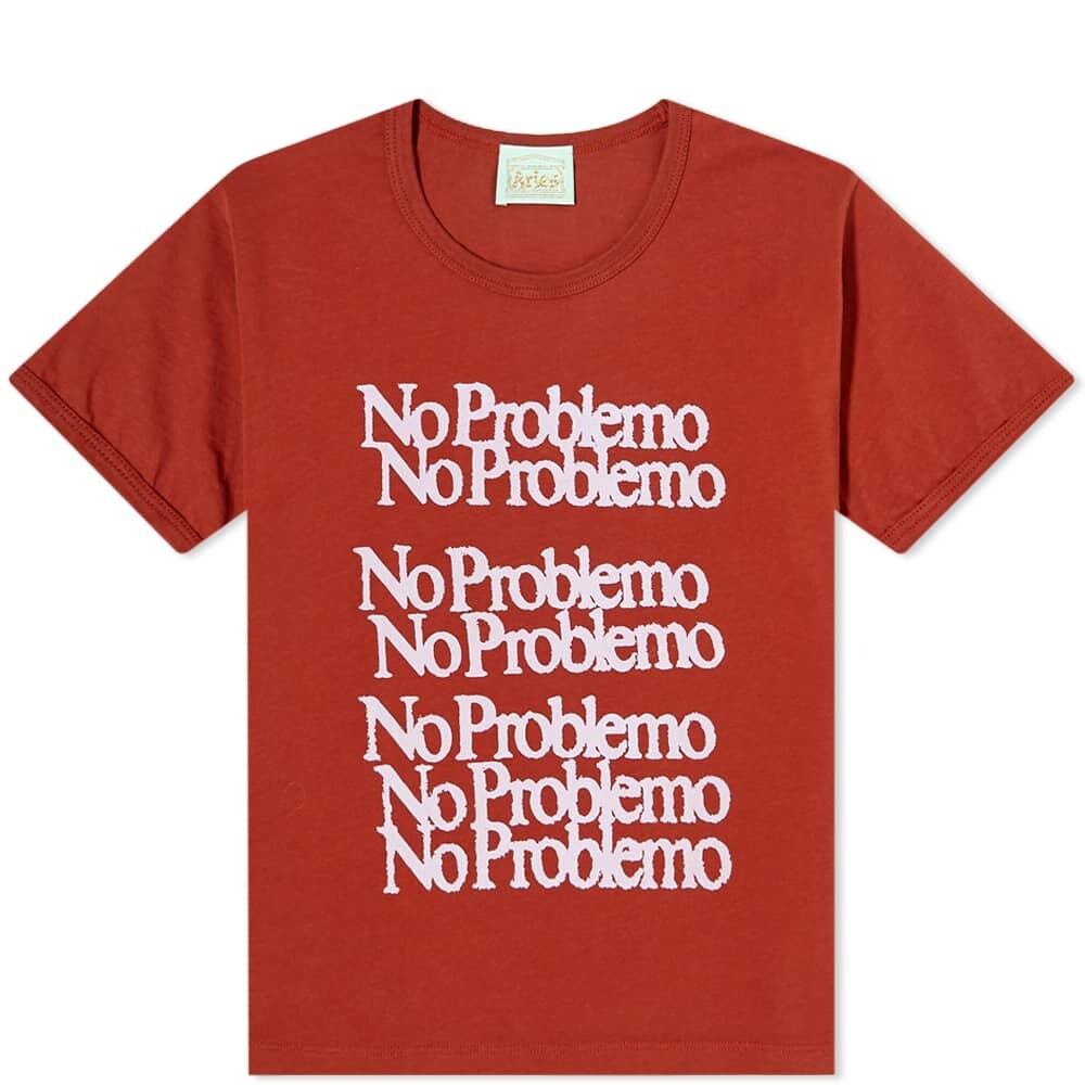 

Футболка Aries Many Problemo Shrunken Tee, Коричневый