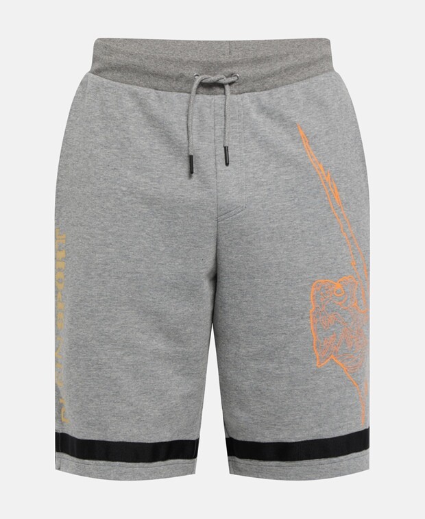 

Шорты Plein Sport, серый