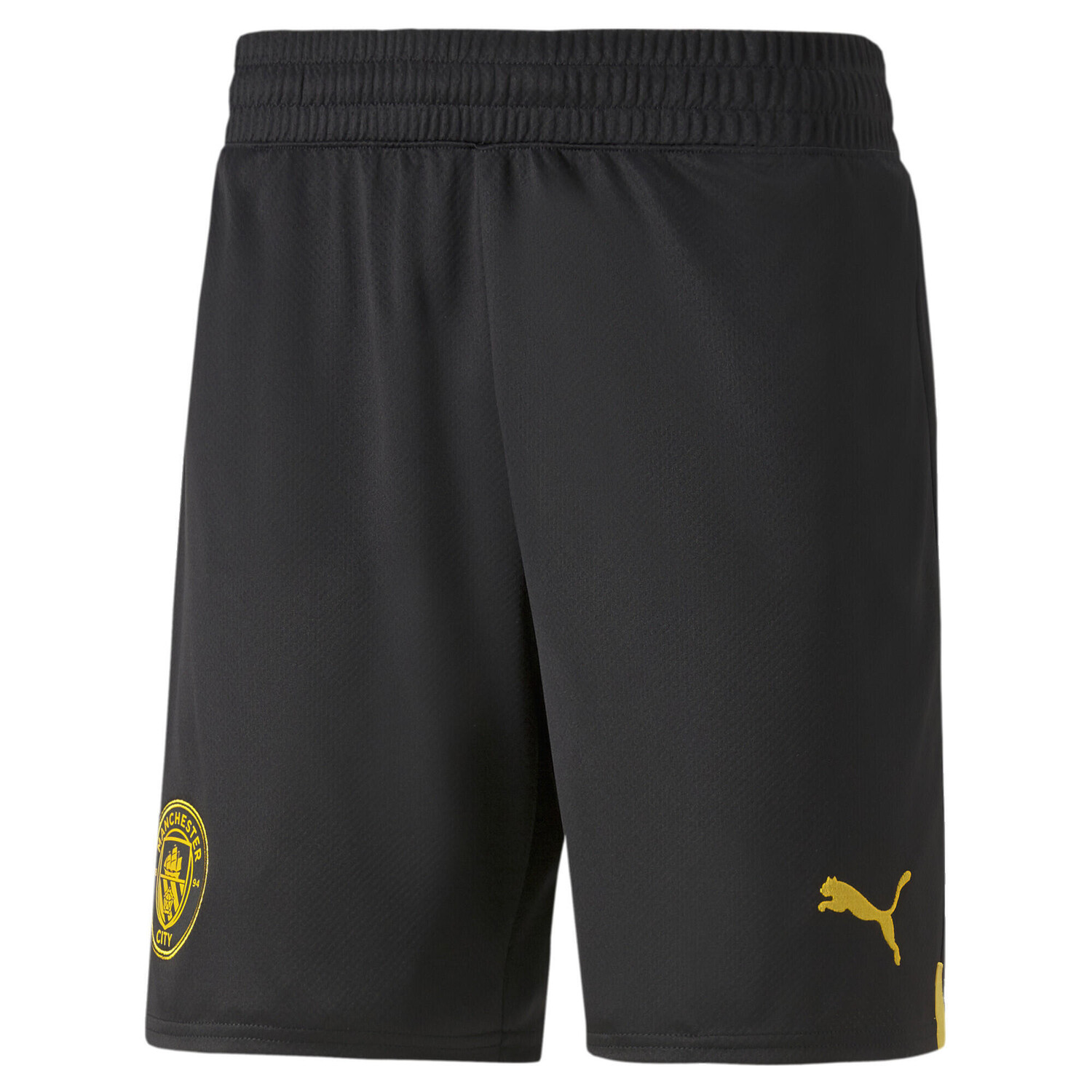 

Манчестер Сити ФК Мужские футбольные штаны PUMA, синий