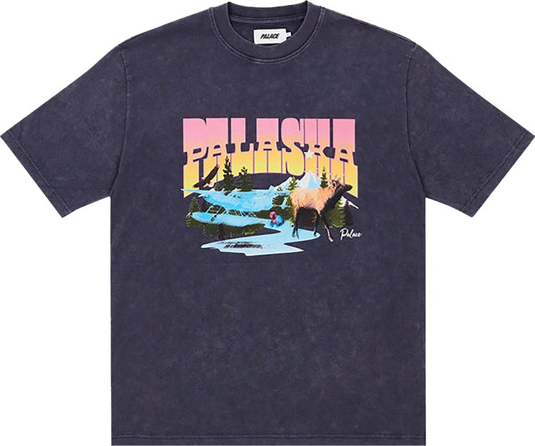 

Футболка Palace Palaska Dye T-Shirt 'Purple', фиолетовый