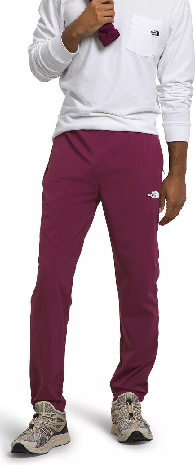 

Мужские брюки для прогулок The North Face