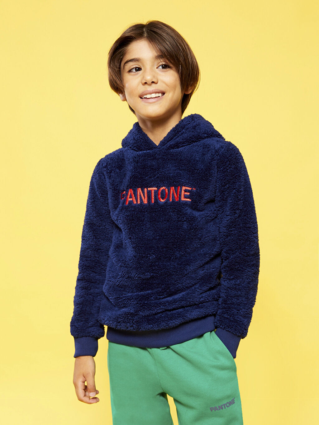 

Детская толстовка унисекс с капюшоном и вышивкой с длинным рукавом Pantone