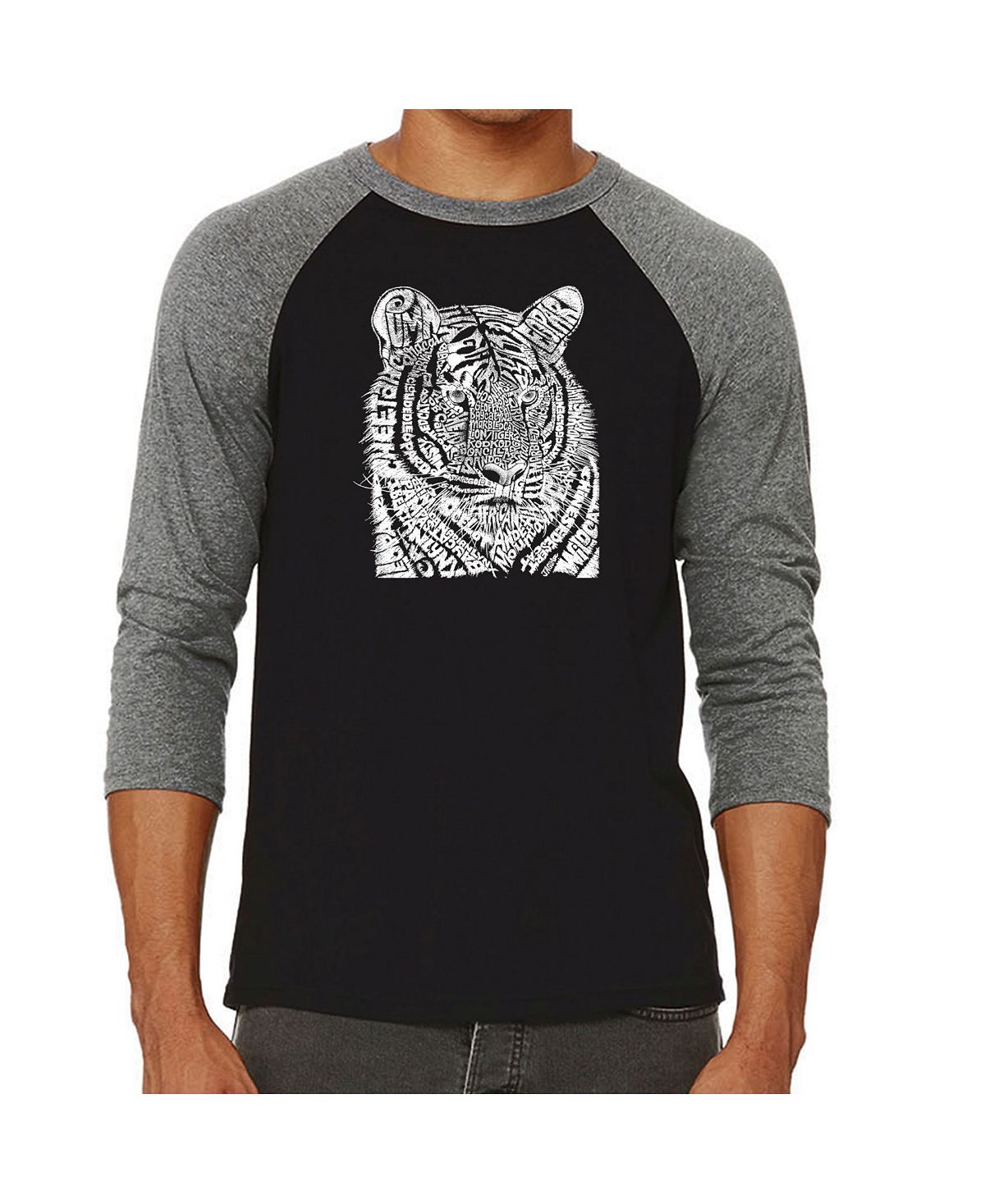 Мужская футболка с надписью big cats реглан word art LA Pop Art, серый