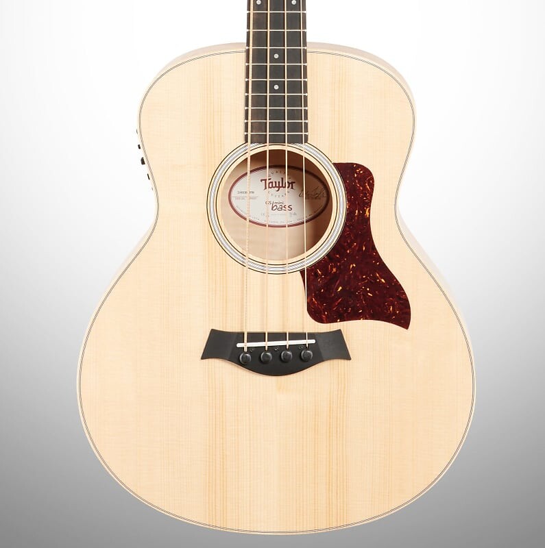 

Акустико-электрическая бас-гитара Taylor GS Mini-e (с жестким чехлом)