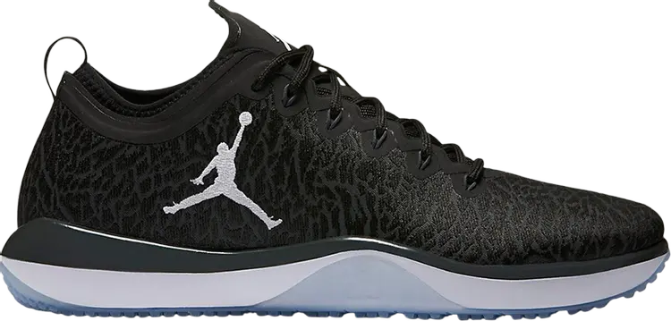 

Кроссовки Jordan Trainer 1 Low Anthracite, серый