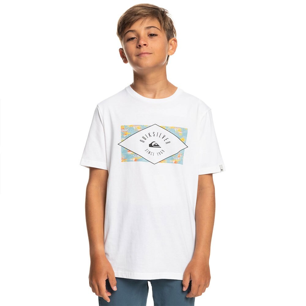 

Футболка Quiksilver Circled Line, белый