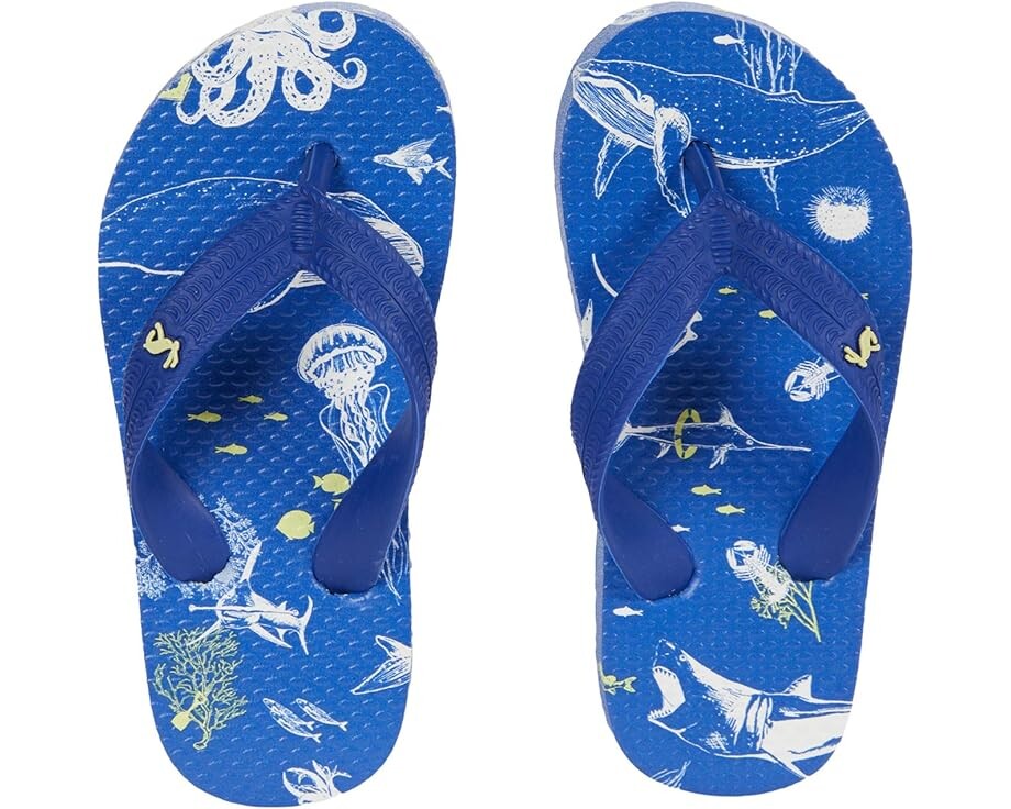 Сандалии Joules Flip-Flop, цвет Blue Sea Animals сандалии joules flip flop цвет grey ants