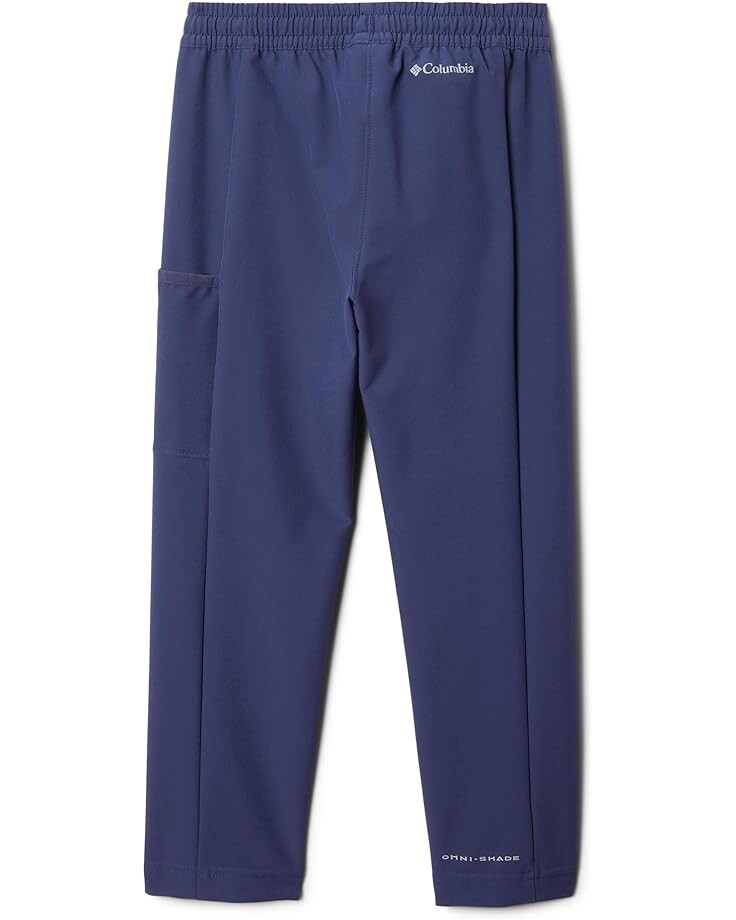 

Брюки Columbia Daytrekker II Pants, цвет Nocturnal