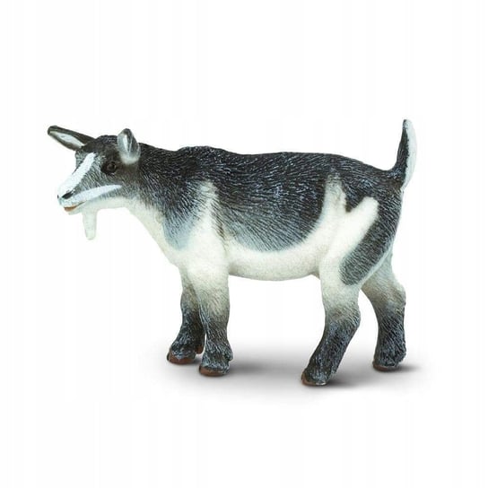 Карликовая коза - ООО Сафари - Safari коза с кудрявыми ножками