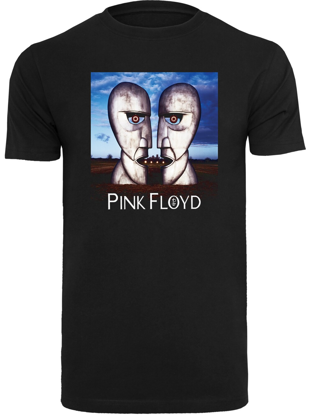 Футболка F4Nt4Stic Pink Floyd The Division Bell, черный виниловая пластинка pink floyd the division bell remastered 0825646293285