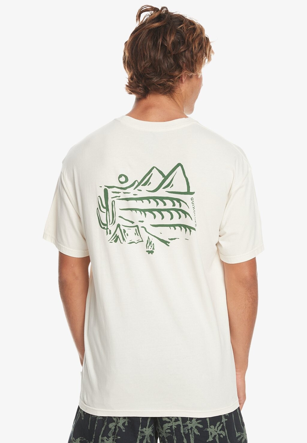 

Футболка с принтом Quiksilver, молочный, Серый