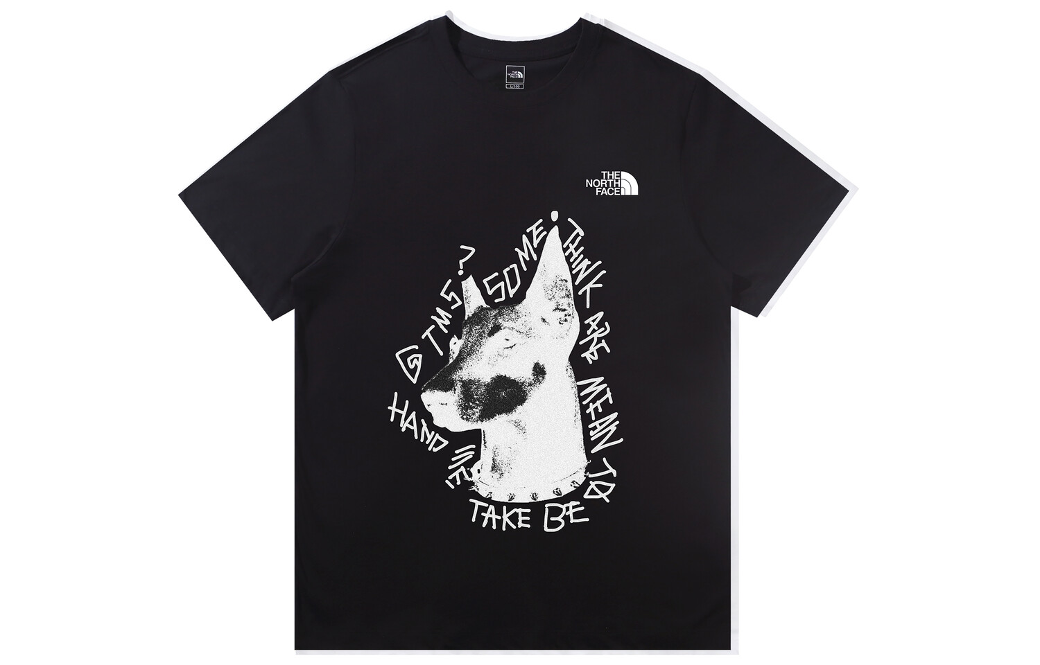 

Футболка мужская черная The North Face, черный