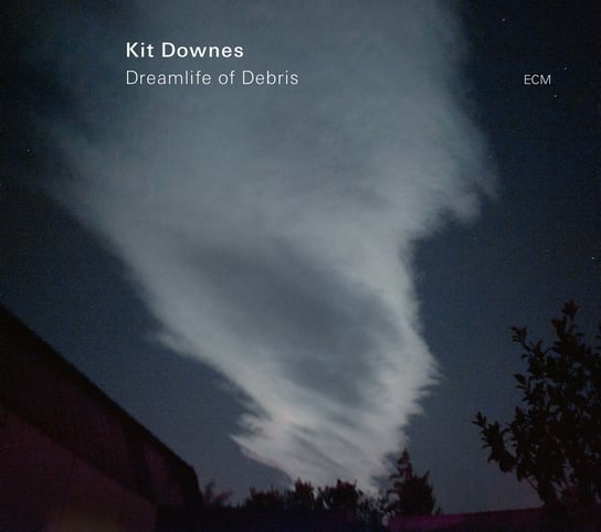 Виниловая пластинка Downes Kit - Dreamlife Of Debris